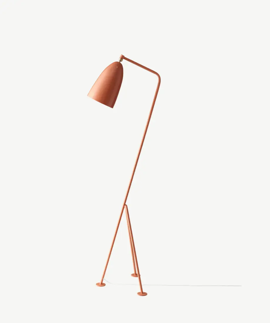 Miruna Floor Lamp